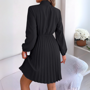 Dorota - Elegant Pleated Dress with Long Sleeves